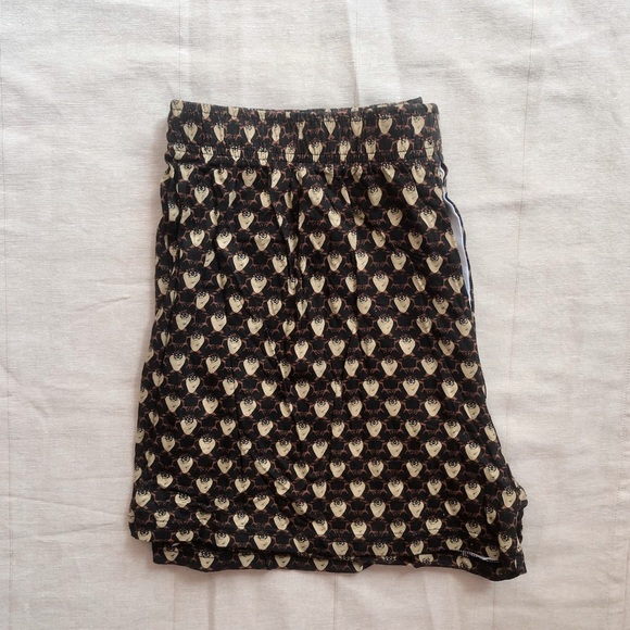 Taz Boxer🌪 - Picture 3 of 4